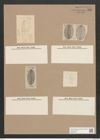 Navicula aestiva Donk. (de-Toni-Nr.: Genus 1, Species 309) Zeichnungen Sammlung Grunow Nr. 716 (NHMW-BOT-W0367098)